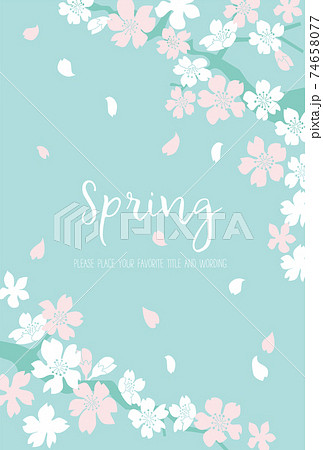 シンプルな満開の桜の背景素材 74658077