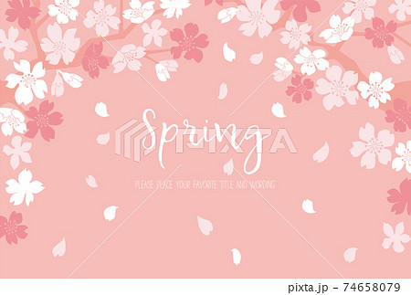 シンプルな満開の桜の背景素材 74658079