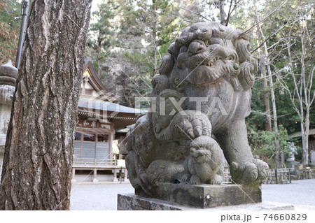 宝登山神社の狛犬 宝登山神社の狛犬 74660829