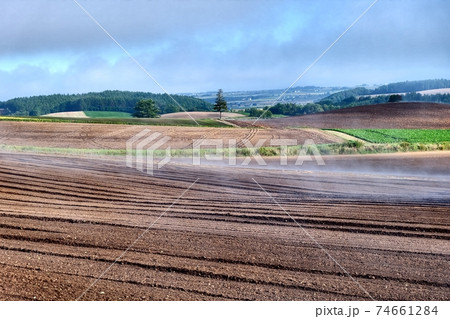 北海道美瑛の風景 74661284