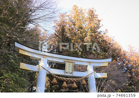 宝登山神社の白い鳥居 74661359