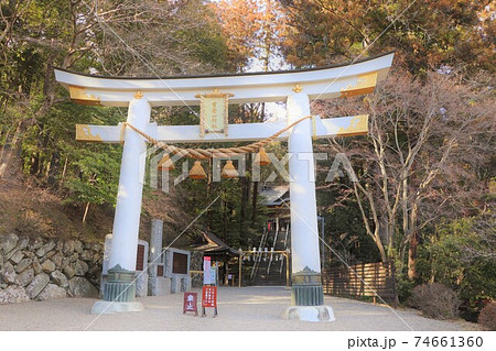 秩父　宝登山神社の白い鳥居 74661360