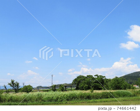 東屋のある春の公園の遠景 東屋のある春の公園の遠景 74661442