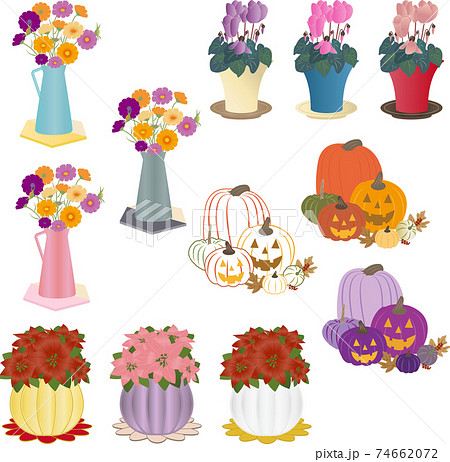 カラフルな季節の花 植物のイラスト素材