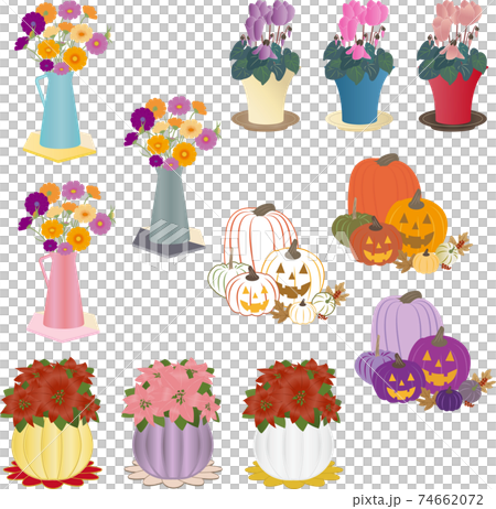 多彩的季節花草 74662072