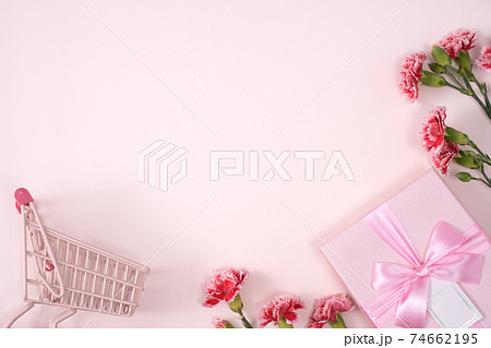 カーネーション ハマナデシコ ギフト 74662195