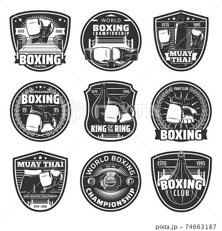 Boxing and muay thai single combats vector icons 74663187