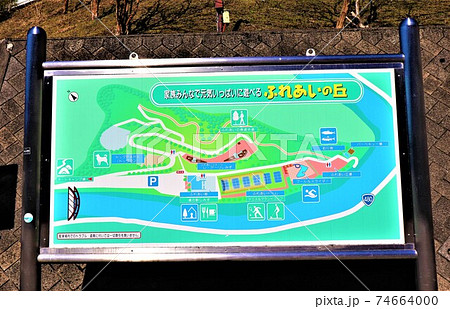 道の駅　しみず 74664000