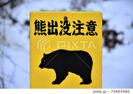 熊出没注意 熊出没注意 74664986