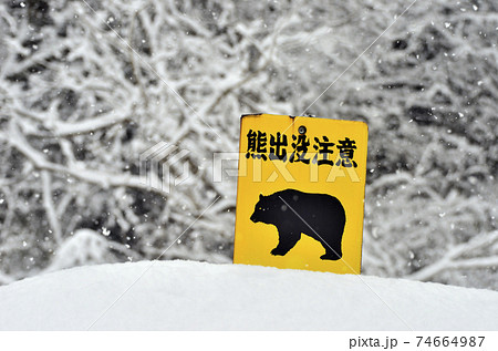 熊出没注意 74664987