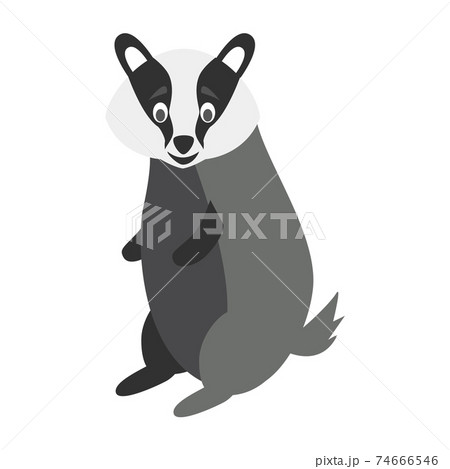 Cute cartoon badger vector illustration Cute cartoon badger vector illustration 74666546