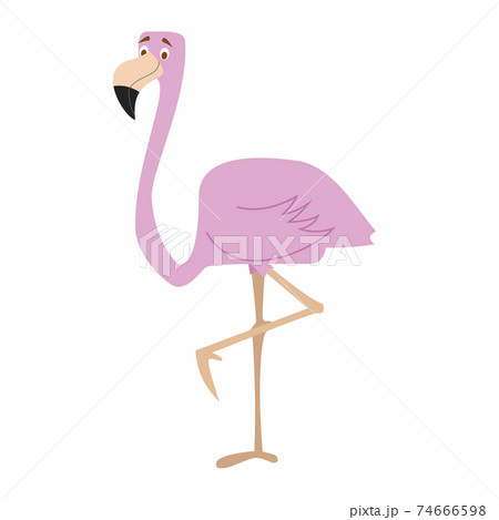 Cute cartoon flamingo vector illustration 74666598