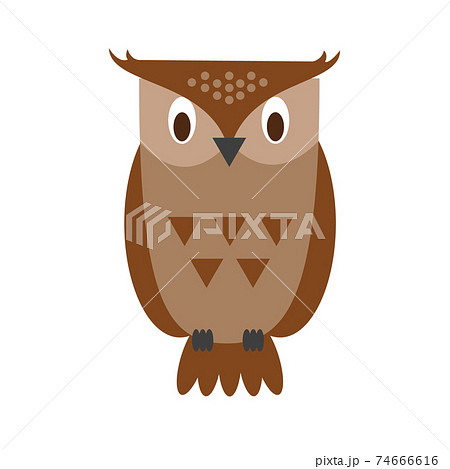 Cute cartoon owl vector illustration - Stock Illustration [74666616] - PIXTA