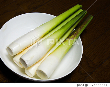 マコモダケ 74666634