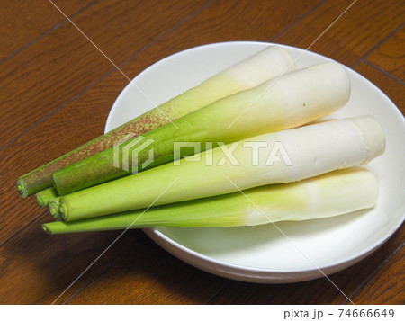 マコモダケ 74666649