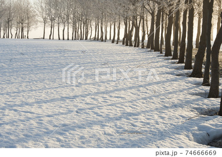 朝の福島潟雪原 74666669