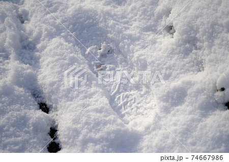 雪に残る靴の跡の模様 74667986