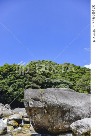 屋久島の横河渓谷(よっこ渓谷) 屋久島の横河渓谷(よっこ渓谷) 74668420