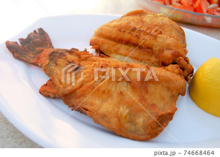 Delicious and beautiful fried trout fish, in a plate Delicious and beautiful fried trout fish, in a plate 74668464