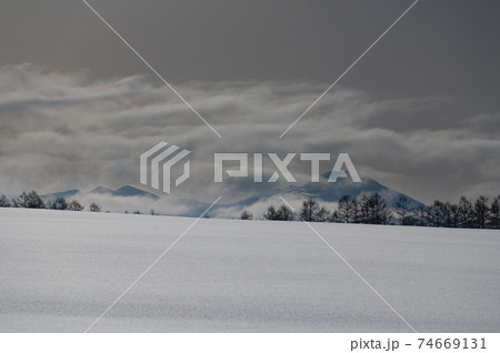 冬美瑛雪山シルエットの見える丘 74669131