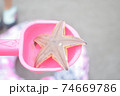 海遊び　ヒトデ 74669786