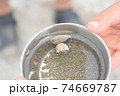 海遊び　ヤドカリ 74669787