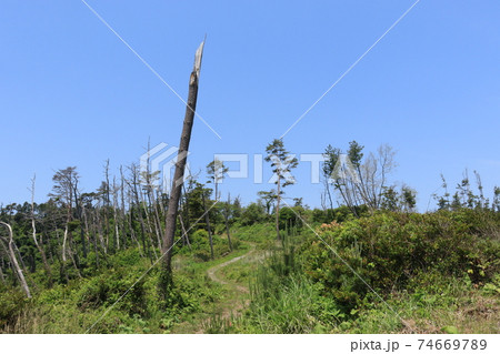 唐桑半島「半造」の風景 (宮城県気仙沼市唐桑町) 唐桑半島「半造」の風景 (宮城県気仙沼市唐桑町) 74669789