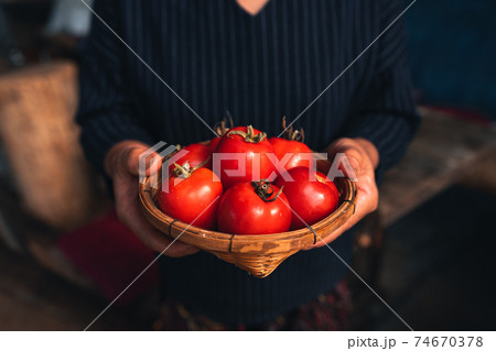 Fresh red tomatoes from the farm Fresh red tomatoes from the farm 74670378