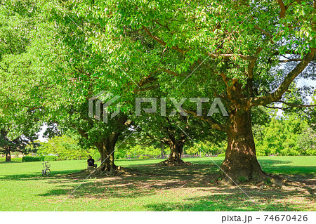 広々とした緑あふれる、庄内緑地公園〈愛知県名古屋市〉 74670426