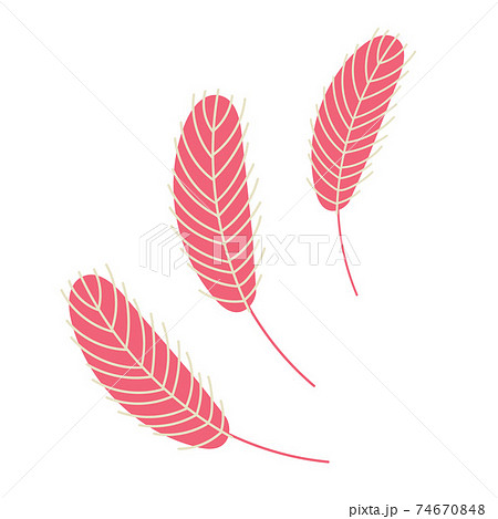 Birds feather isolated on a white background. Birds feather isolated on a white background. 74670848