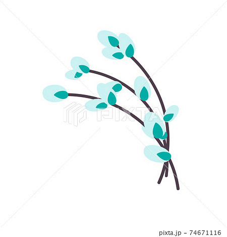 Willow twig. Easter willow.vector illustration Willow twig. Easter willow.vector illustration 74671116
