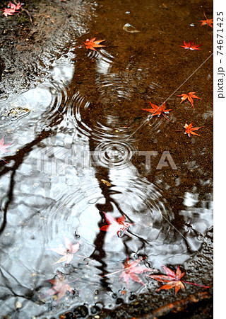 晩秋の水たまり 74671425