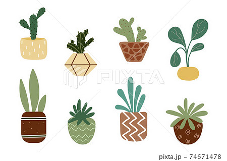 Homemade flowers in pots. Succulents, cacti  74671478