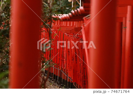 紅の鳥居 74671764