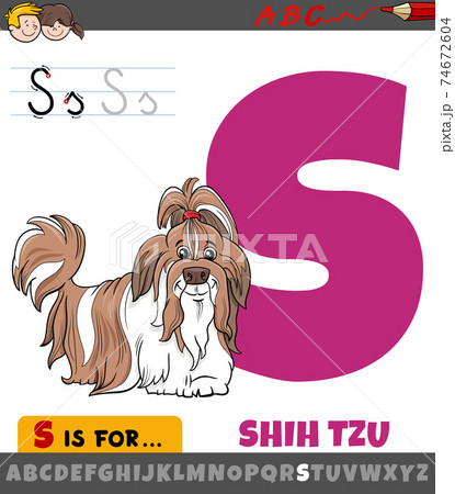 letter S worksheet with cartoon Shih Tzu purebred dog letter S worksheet with cartoon Shih Tzu purebred dog 74672604