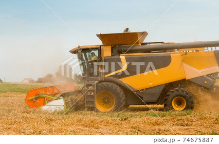 Rotary straw walker cut and threshes ripe wheat grain. Man in combine harvesters with grain header, wide chaff spreader reaping cereal ears. Gathering crop by agricultural machinery on field in summer 74675887