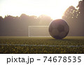 Soccer Ball Goal Net Lawn Field 74678535