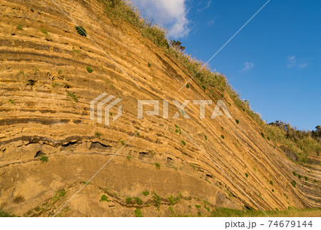 伊豆大島　地層大切断面　バームクーヘン 74679144