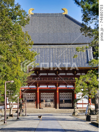 東大寺大仏殿の中門 74680703