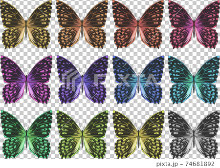サトキマダラヒカゲ　カラフル　セット　イラスト 74681892