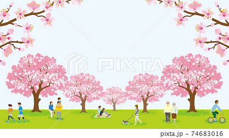 花見を楽しむ人々 満開の桜のイラスト素材