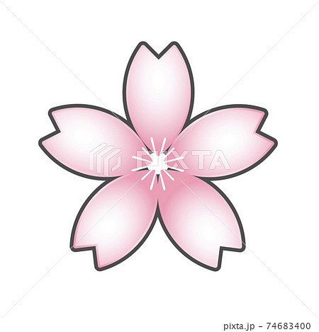 桜 アイコン ピンク 明るい 春 イラスト素材のイラスト素材