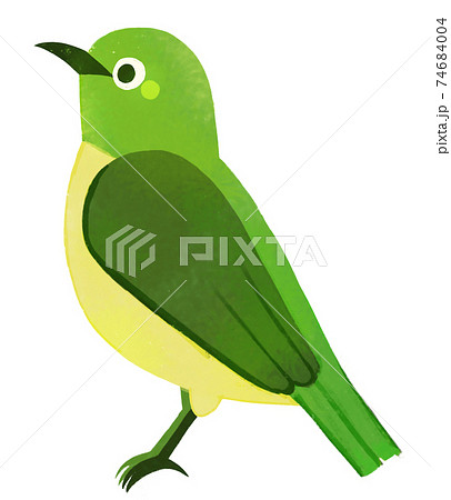 横を向くメジロのイラスト素材