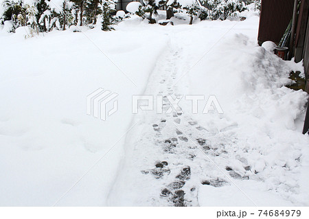 狭く除雪された小道 74684979
