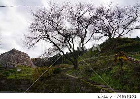 月山富田城 74686101
