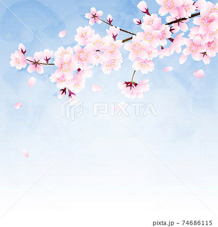 青空の背景に桜の花と花びらのイラスト素材