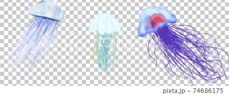 現實的水母集 現實的水母集 74686175
