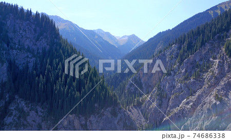 View of the forest and gorge from above. 74686338