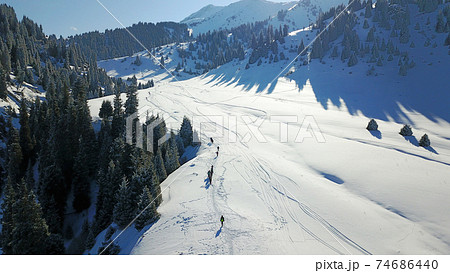 View of snowy mountains and forest. View of snowy mountains and forest. 74686440