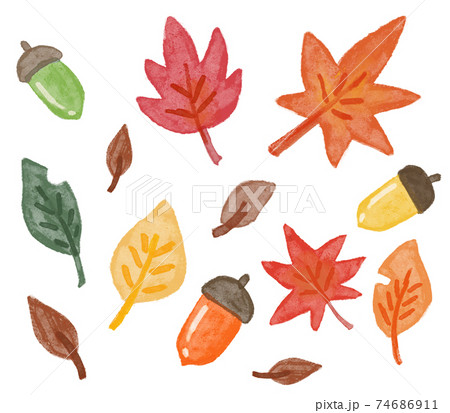 秋の葉っぱとどんぐり 素材のイラスト素材